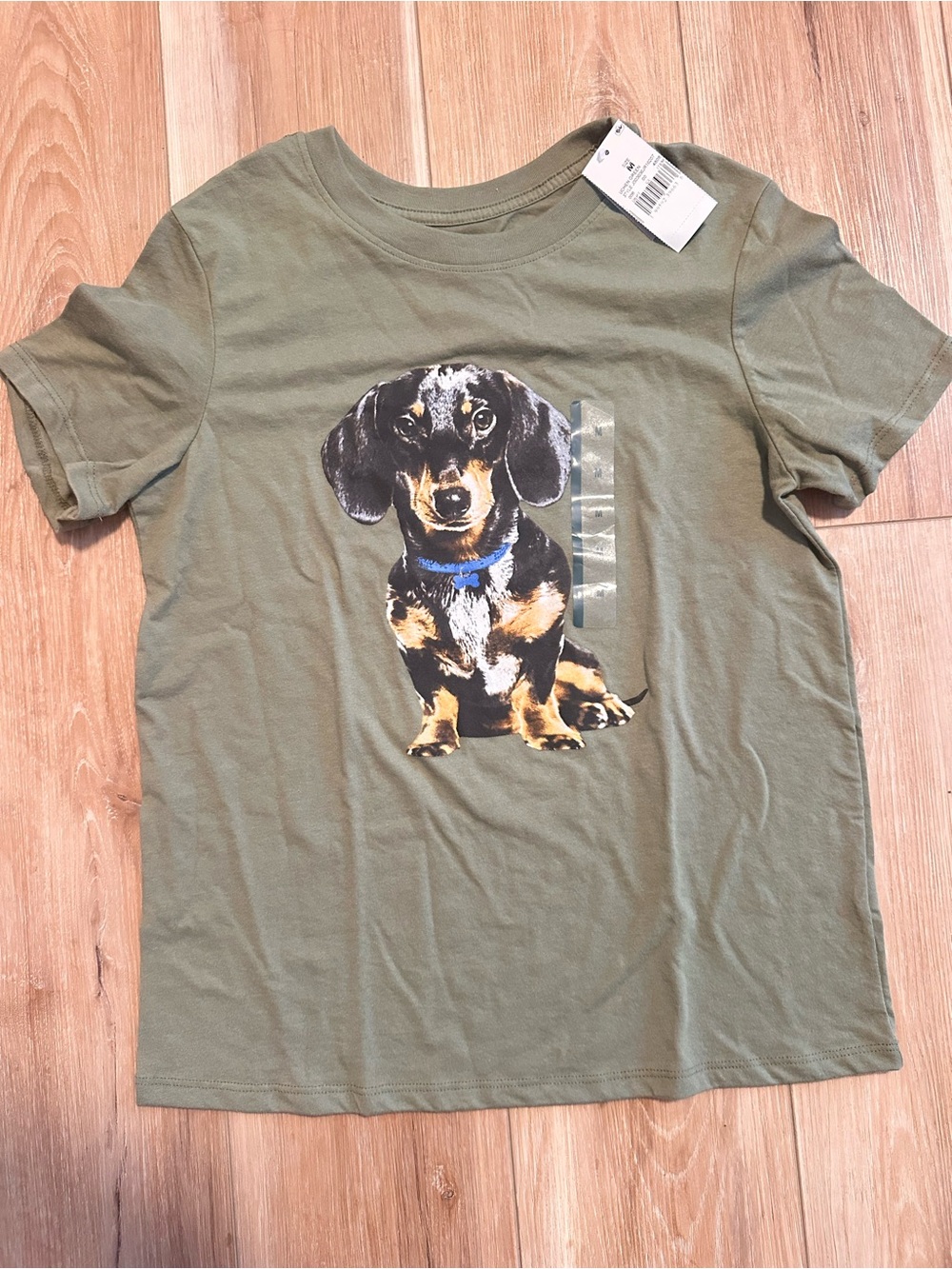 Women’s dachshund T-shirt